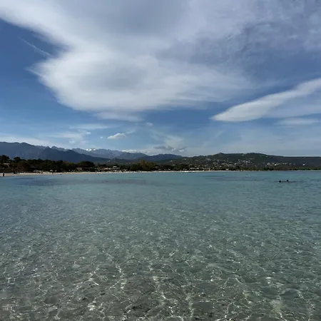 Apartamento Chez Audrey Et Olivier T2 Climatisé 5 Mn De La Et 10 Mn De Porto-vecchio Lecci