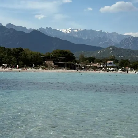 Chez Audrey Et Olivier T2 Climatisé 5 Mn De La Et 10 Mn De Porto-vecchio Apartamento Lecci