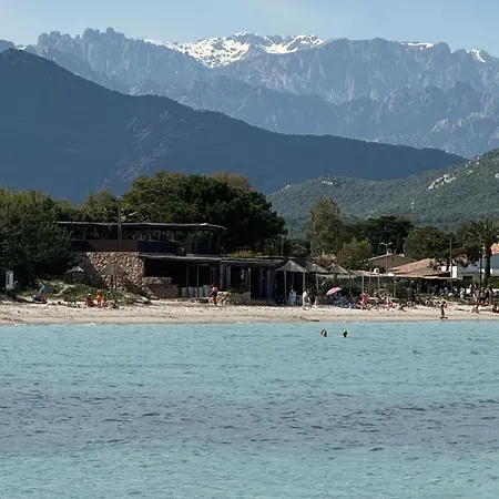Chez Audrey Et Olivier T2 Climatisé 5 Mn De La Et 10 Mn De Porto-vecchio Apartamento *